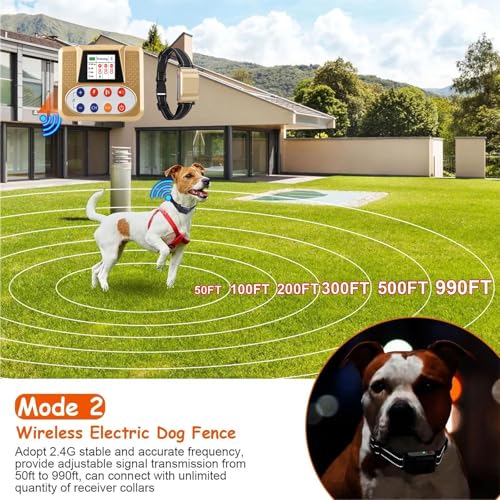 Dog Trainer Using Wireless Training Collar