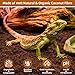 Riare 8 Pack Natural Coconut Fiber Substrate for Reptile- Premium Compressed Coconut Husk Terrarium Bedding for Reptile, Tortoise, Frogs, Snakes Hermit Crabs, Burrowing Animals