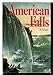 American Falls: A Novel