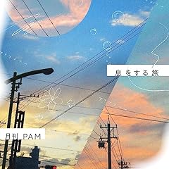 ��������ڂ��� / ����PAM