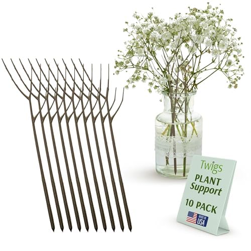 Plant support stakes (22in) Twigs GA Moonstone 10 pack
