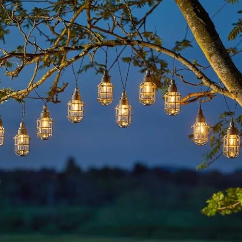 Smart Garden 365 Solar 10 Anglia String Lights 20L