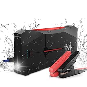FLYLINKTECH auto-starter, 800A 12000mAh auto-jumpstarter (tot 4,0 l gas of 2,0 l diesel) IP67 waterdichte autobatterijstarter, 3 modi LED-zaklamp en USB-poort