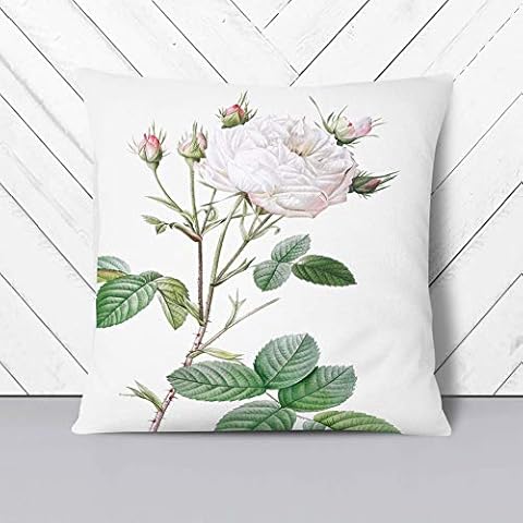 Cabbage Rose Cushion Cover in Pale Pink Cover