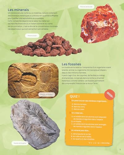 Pierres, minéraux et fossiles – vue 4