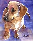 Dachshund | Weiner Dog | Doxie Art Print | Doxie Gifts | From Original Painting by Ron Krajewski |...