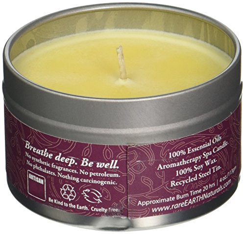 rareEARTH Passion Travel Tin Candle