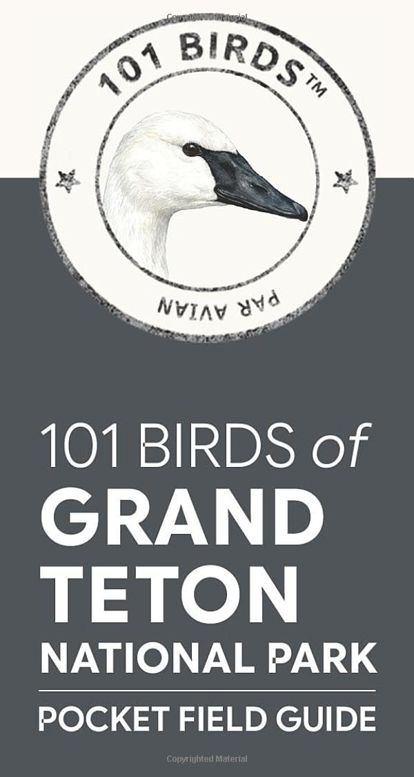 101 Birds of Grand Teton National Park: Pocket Field Guide (101 Birds Pocket Field Guides)