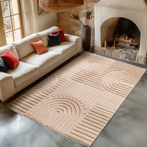 Carpetsale24 Tapis de Salon 120x170 cm Rose à Poils Longs Design bohème scandinave Effet Relief Shaggy Doux Moelleux Robuste Facile à Nettoyer Moderne pour...