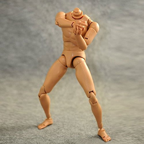 1/6 Scale Narrow Shoulder Male Body Doll Action Figure For Ttm18 Ttm19 Hot Toys & Human Body Sketch Model #TOP2