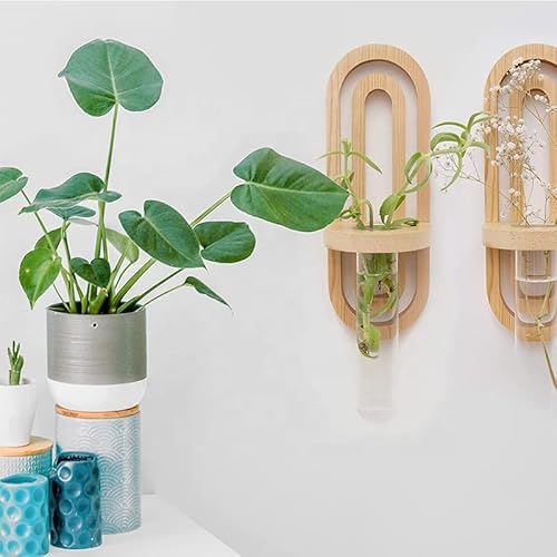 Happy St. Set Of 2 Wall Hanging Propagation Station Boho Decor Wall Sconces For Indoor Plants In Gift Box #TOP3