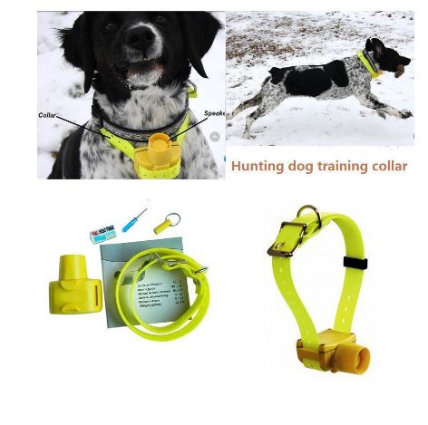 Hundetrainer mit Klicker, gelb