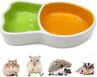 Hamster Food Bowl - Ceramic Small Animals Food Dish and Water Bowl Chew Resistant Food Bowls Water Feeder for Hamster Rat Hedgehog Gerbil Mice Squirrel Sugar Glide Birds (Small Carrot)