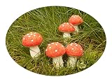 Fliegenpilze, Glückspilze, handgefilzt und bestickt, 5 Stück im Set, 5 cm