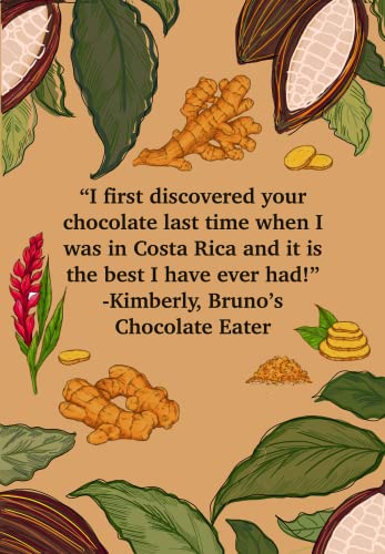 Kakoart Bruno's Chocolate | Chocolate Bars With Flavors, 1.75Oz/50G, 7 Pack | Organic Single Origin Trinitarian Cacao From Costa Rica, Certified By The Usda, Gluten Free, Vegan (85% Ginger) #TOP4