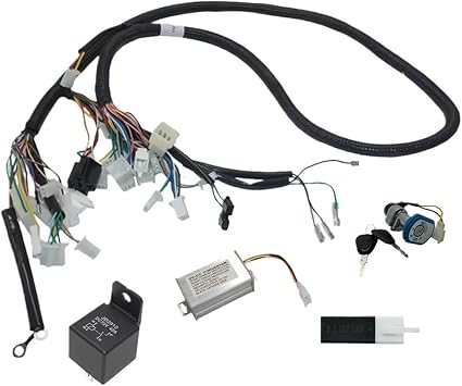 Vehicle Wiring Harness Compatible For Votol Controller EM50 EM100 Fardriver Controller ND Series Match with DKD Display and Z6EM200
