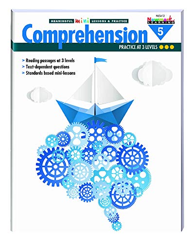 Meaningful Mini-Lessons & Practice: Comprehensi... 1478867655 Book Cover