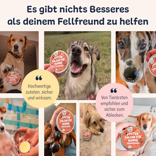 Droolings Pfotenbalsam Hund und Katzen 100% Natürlicher Balsam für Nase und Pfotenpflege 60 ml