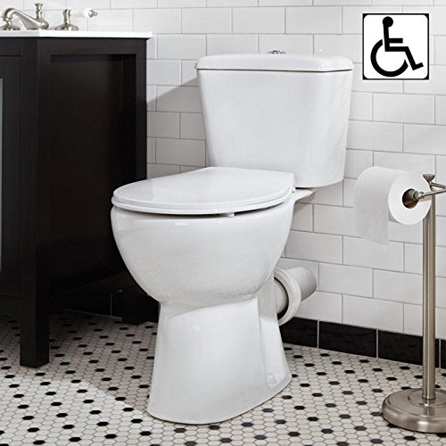 Dual Flush Toilet