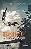 Belief: A Pragmatic Picture