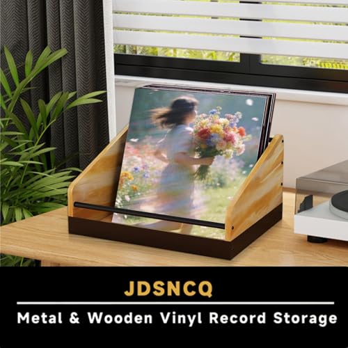 Support antidérapant pour disques vinyles avec étagère de rangement moderne à grande capacité - 5