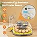 IBKINXX Incubator for Hatching Eggs-12 Egg Capacity, 2026 Newly Upraded Automatic Egg Turner, Temperature & Humidity Control, 360° Viewing for Chicken, Duck and Quail Eggs