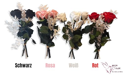 Handgebundener Rosenstrauß mit 3 Rosen und Ruscus - Echte ewige Rosen 3 Jahre haltbar – Rosen mit Stielen Höhe 26 cm - Made in Germany (Rosa)