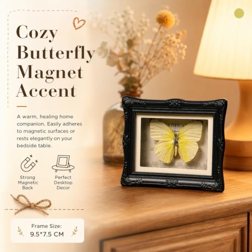 1Pcs Real Butterfly Framed Handmade, Taxidermy Butterfly Shadow Box Collection, Framed Butterfly Taxidermy for Oddities and Curiosities Gifts Tabletop Ornaments (#15-butterfly Specimen+photo Frame) — view 6