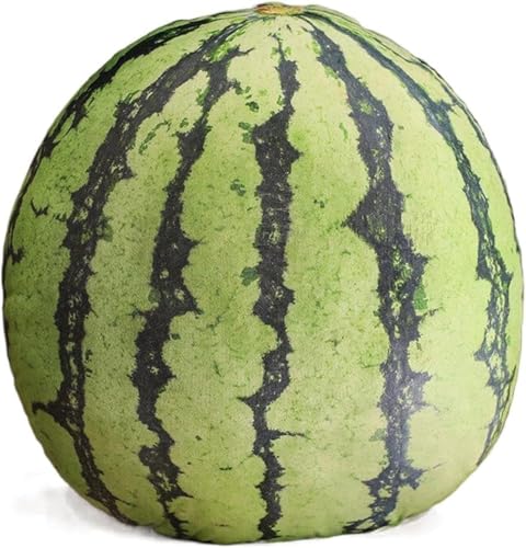 Zetifyt[c ʂ ʕ 3D D A 傫 { Hו  킢   QNbV _炩 Dw FTCY q̂߂̃Mtg  YQ ܂ w  C a 