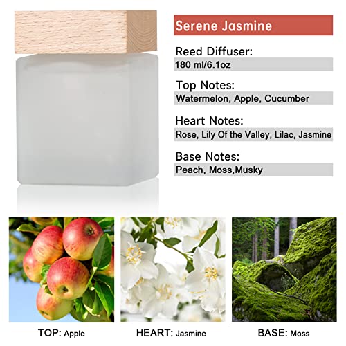 Brakula Fragrances Reed Diffuser, Jasmine Scented Reed Diffuser Set With 10 Oil Diffuser Sticks, 6.1 Oz /180Ml #TOP1