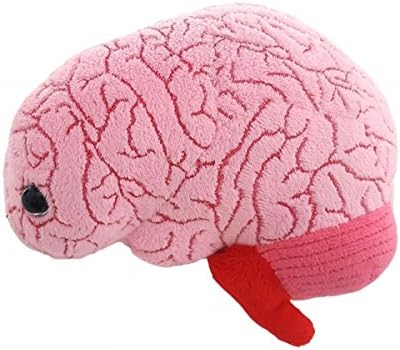 organ plushies amazon