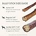 Downtown Pet Supply 6-inch Bully Sticks for Dogs, Pack of 10 - Single Ingredient, Nutrient-Rich and Odor Free Bully Sticks for Dogs - Rawhide Free Dog Chews Long Lasting and Non-Splintering