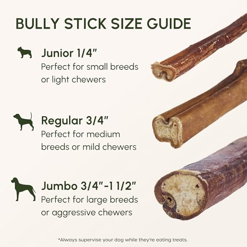 Image of Downtown Pet Supply Bully Sticks for Dogs - Natural 6 Inch Beef Chews, Odor-Free & Rawhide-Free, Long Lasting Dog Treats for Aggressive Chewers - Healthy, Safe & Delicious Chews Dogs Love (10 Pack)