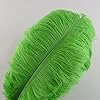 Sowder 10pcs Ostrich Feathers 12-14inch(30-35cm) for Home Wedding Decoration(Lime Green) #1