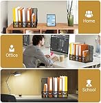 DALTACK Desk Organizers Magazine Binder Folder Holder with 5 Vertical Compartments File Organizer for Office Home School Organization, Metal Mesh, Black, 16.14"L x 9.84"W x 12.6"H