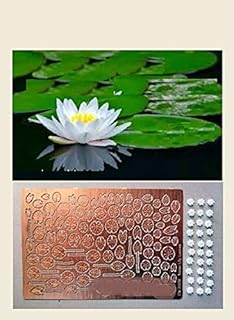Dan Models 35539-1/35 Water Lily. Leaves and Flowers. Photo-Etched and Resin