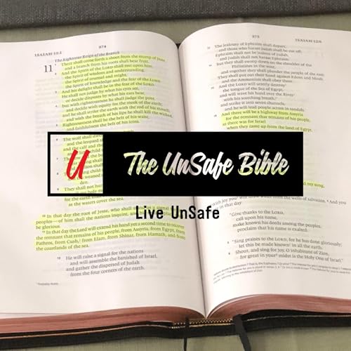 The UnSafe Bible copertina