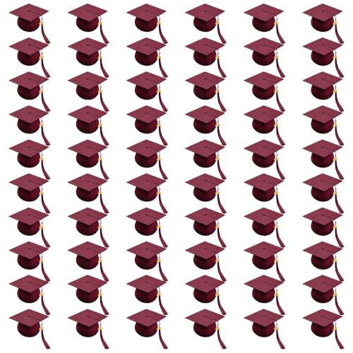 Herrenbek 60PCS Unisex Matte Graduation Cap 2027 Tassel for High School
