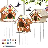 Bird House Crafts for Kids – Kit per bambini – con 12 vernici, 2 pennelli, 2 spago, 3 trucioli di legno Love Dudok