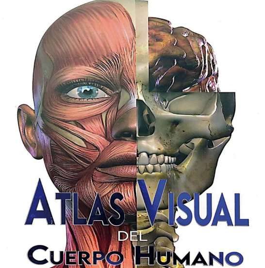 Atlas visuel corps humain pour comprendre facilement l'anatomie