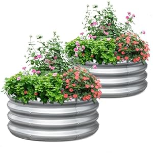 KING BIRD Verzinktes Hochbeet 2er Pack