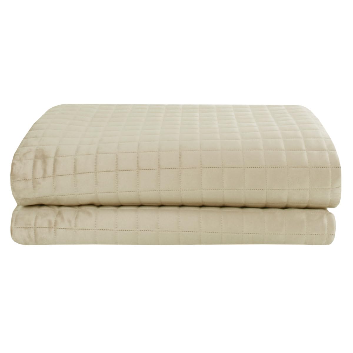 SaRani Vienna Quilted Spring Bedspread in Soft Velvet Plain (Single, Beige)