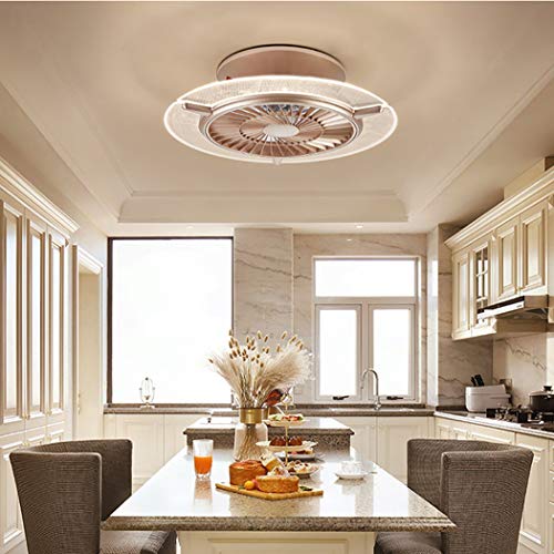 Bustling world Ceiling Fan with Light,Reversible 22 inches LED Remote Control 3-Color Lighting 6 Wind speeds Enclosed Blade Smart Timing Fan, Low Profile Flush Mount Ceiling Light, Bedroom,Gold,Round