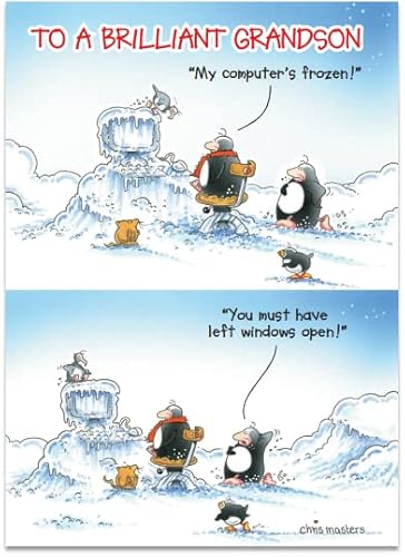 Grandson Humorous Christmas Card from the Eric the Penguin Range -Hotmail, Frozen Computer - for Him