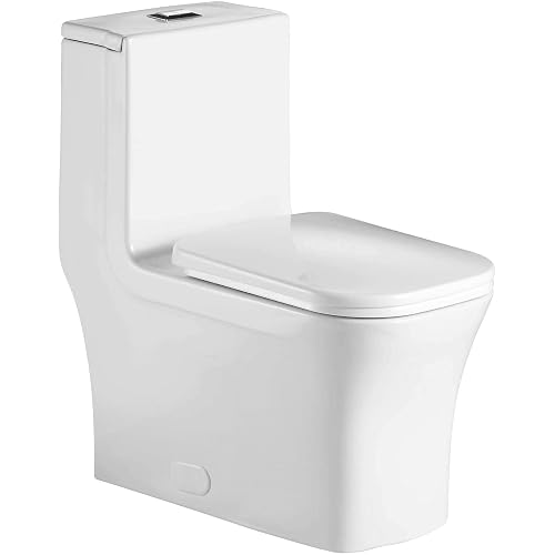 Fine Fixtures Dual-Flush Elongated One-Piece Toilet with High Efficiency Flush, white (MOTB9W)