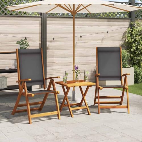 YunCangg Foldable Chair Set of 2 Black Solid Acacia Wood