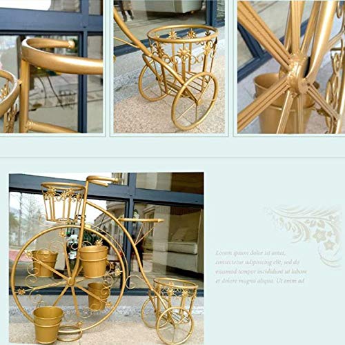 Support de fleurs pour vélo intérieur extérieur et étagères de jardin robustes - 4
