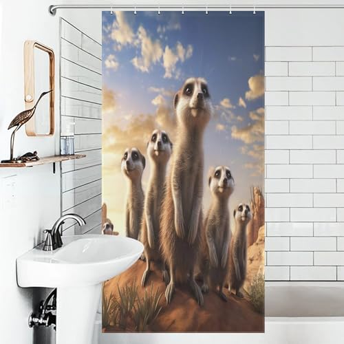 Sol glissant ? Rideau de douche imperméable lavable en machine polyester 92x183 - 6