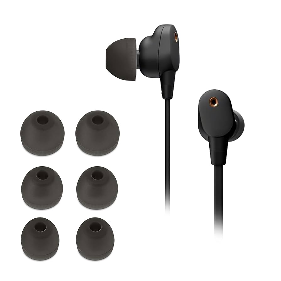 ワイヤレスイヤホン WI-1000XM2 イヤーピース、ハードケース付 SONY WI-1000XM2にシリコン製イヤーピースAZLA SednaEarfit MAX