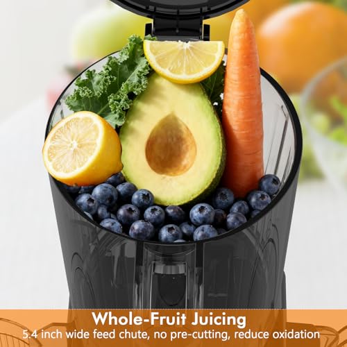 Vertical Masticating Juicer Machine